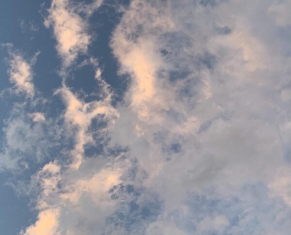 邢益豪