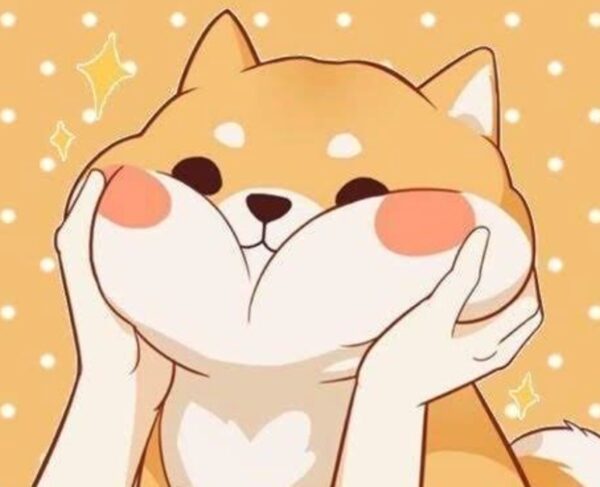 圈圈菌