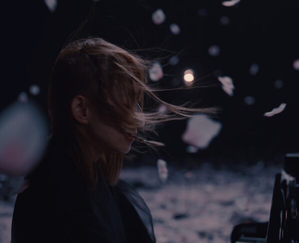 王菀之