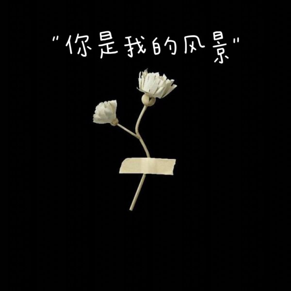 你是我的风景