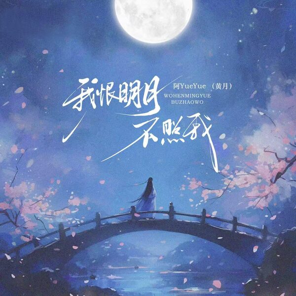 我恨明月不照我