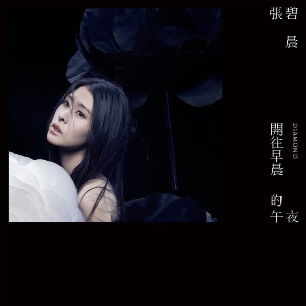 开往早晨的午夜