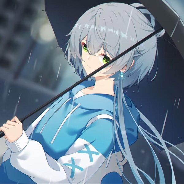 路过你的雨天