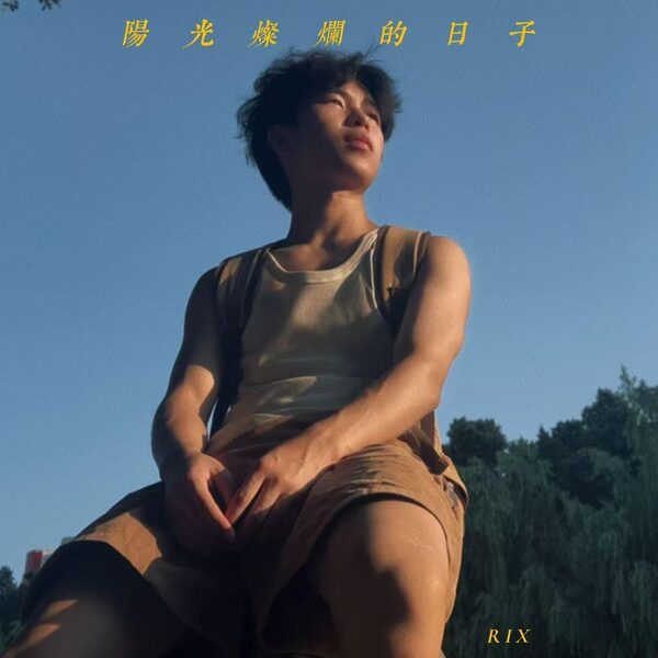 阳光灿烂的日子