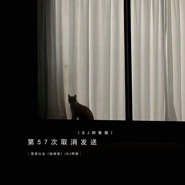 第57次取消发送（DJ阿智版）