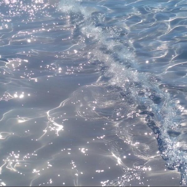 海海海